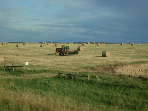 Lots and lots of these hay bales as we traveled